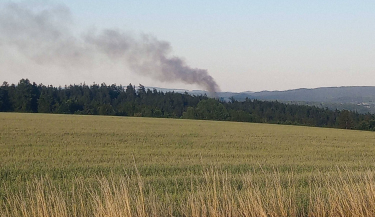 Hasiči uhasili požár lesa na Sokolovsku a povolali na místo revírníka 