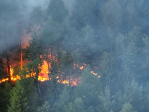 Hasiči bojují s požárem smíšeného lesa na Karlovarsku. Hoří na ploše téměř čtyři hektary