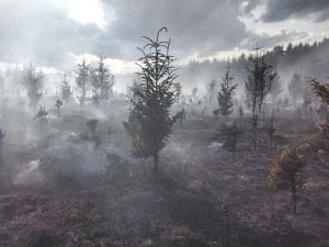 Hasiči bojovali až do večera s požárem lesa, ze vzduchu jim pomáhal Černý jestřáb shazováním vody