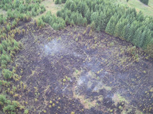 Hasiči bojovali až do večera s požárem lesa, ze vzduchu jim pomáhal Černý jestřáb shazováním vody