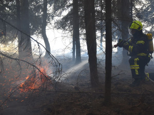 Hasiči bojovali až do večera s požárem lesa, ze vzduchu jim pomáhal Černý jestřáb shazováním vody