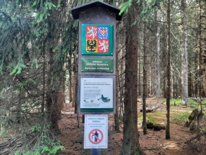 Turisté devastují chráněnou oblast u slavného cínového dolu Rolava a zajateckého tábora. Zakládají ohniště a všude leží odpadky