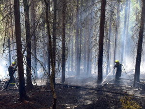 Loňský požár lesa na Karlovarsku úmyslně založil policista, dostal podmínku