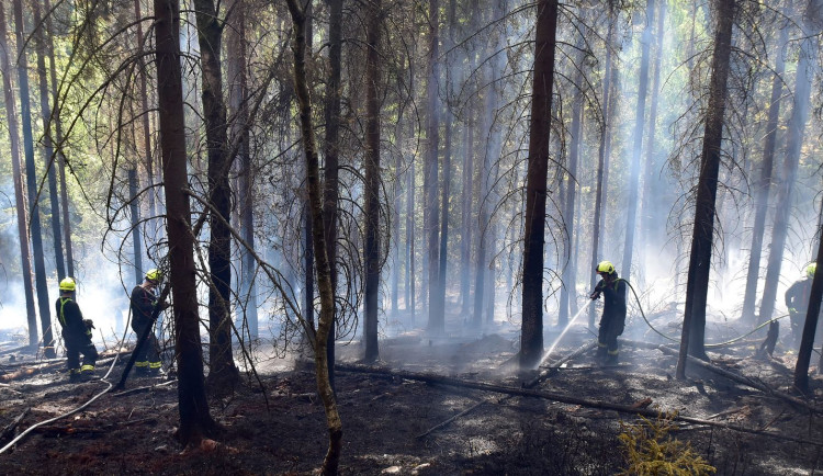 Loňský požár lesa na Karlovarsku úmyslně založil policista, dostal podmínku