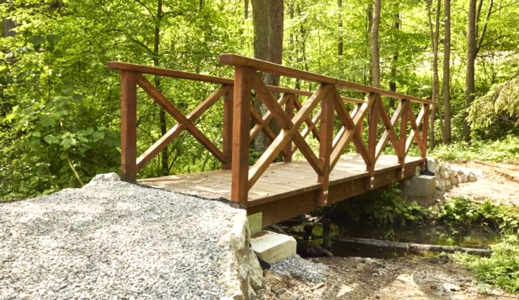 Turisté na jižní Moravě navštěvují exotické stromy. Do arboreta chodí po nové stezce