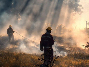 Studie má ukázat lokality, kde mohou hrozit velké lesní požáry. Kraj za ni zaplatí 300 tisíc korun