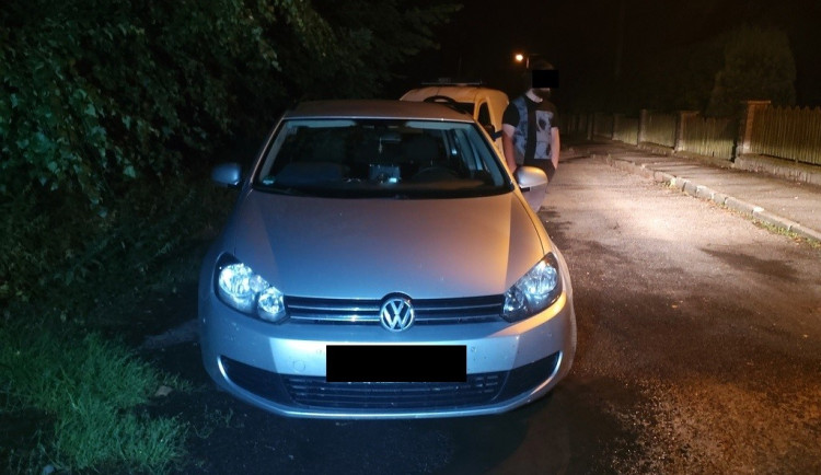 Strážníci společně s psovodem pátrali uprostřed noci po zlodějích. Ukázalo se, že jde o lovce kešek s baterkami