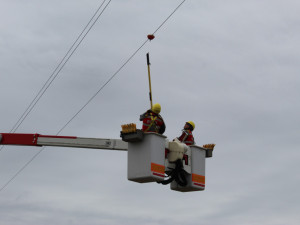 Energetici s ochranáři dávají na dráty vysokého napětí výstražné koule, aby neumírali ptáci