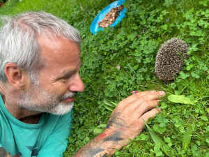 Ježkům se u nás na zahradě líbí a nám se líbí jejich společnost