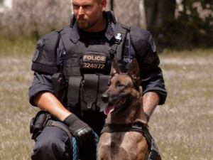 Celostátně hledaného mladíka vypátral policejní pes Copper