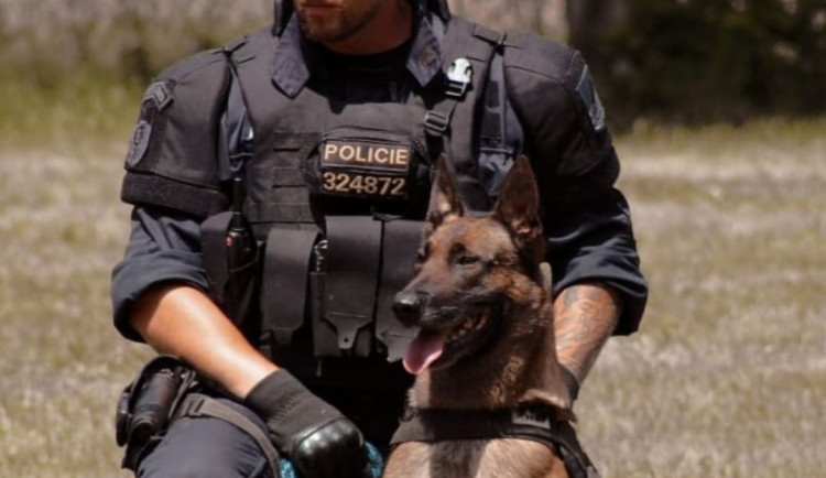 Celostátně hledaného mladíka vypátral policejní pes Copper