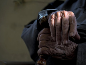 Čtyřiaosmdesátiletou seniorku povalil na zem gambler a sebral jí peníze i doklady, policisté ho dopadli v herně