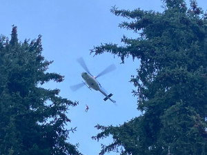 VIDEO: Paraglidista zůstal viset v koruně stromu. Zachránil ho hasič, který k němu slanil z vrtulníku policie