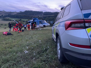 VIDEO: Paraglidista zůstal viset v koruně stromu. Zachránil ho hasič, který k němu slanil z vrtulníku policie