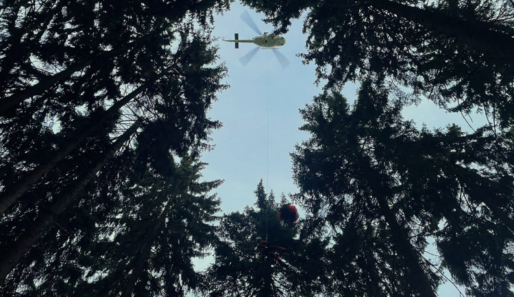 VIDEO: Paraglidista zůstal viset v koruně stromu. Zachránil ho hasič, který k němu slanil z vrtulníku policie