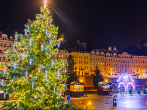 Karlovy Vary hledají vánoční strom pro letošní advent