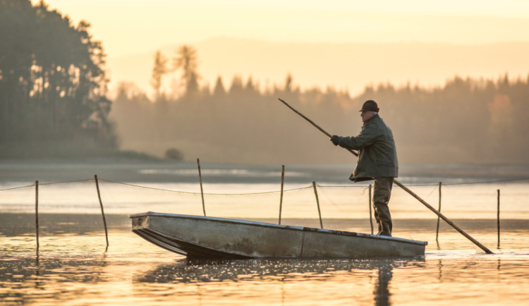 Holinky, mlha a sítě. Blíží se výlovy dvou největších českých rybníků