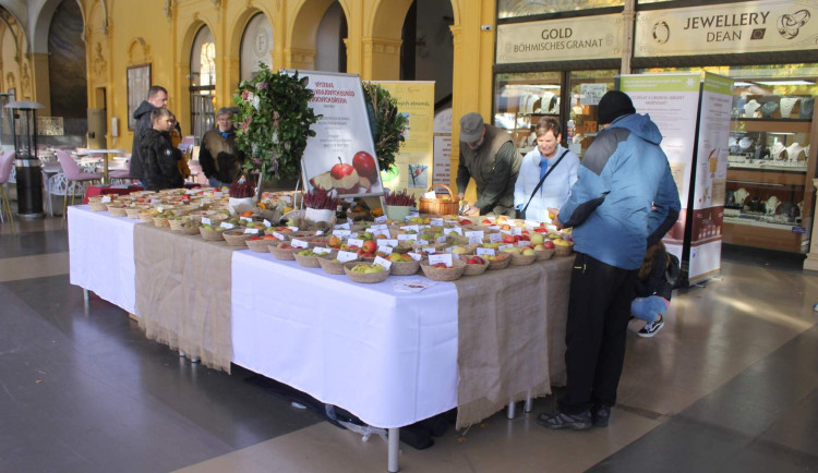 Festival v Mariánských Lázních představil přes stovku regionální odrůd jablek