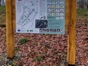 Cenu Karlovarské kraje za ochranu přírody získal Loket za obnovu třešňového sadu