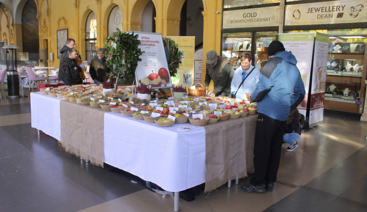 Festival jablek představil přes stovku regionální odrůd jablek