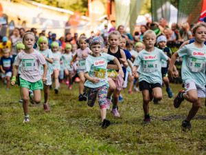 Lesy svolávají k oslavě jubilea. Registrace na 10. ročník Běhej lesy jsou spuštěny