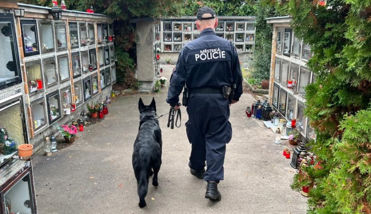 Karlovarští strážníci půjdou omrknout hřbitovy. Vezmou s sebou i psy