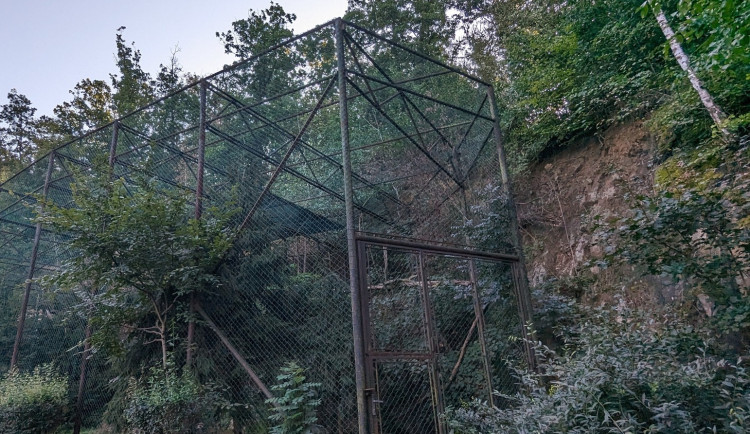 V brněnské zoo se rozhoupali. Opraví skálu, aby nepadala na hlavu orlům