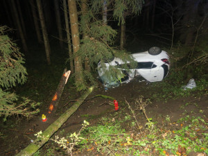 Náraz do stromu nepřežil řidič vozu Kia. Auto ve vysoké rychlosti vyjelo do protisměru a vyletělo ze silnice