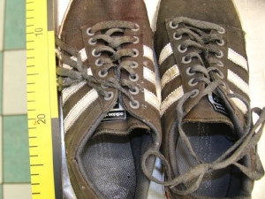 Vlak na Sokolovsku srazil muže ležícího v kolejišti. Policie pátrá po jeho totožnosti