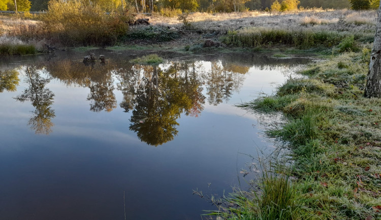 Lázeňské lesy vybudovaly osm nových tůní, pomohou zadržet vodu a poskytnou útočiště živočichům i rostlinám
