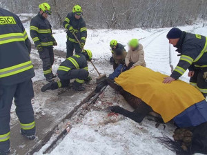 Kůň se zaklínil předními kopyty mezi koleje a betonový nájezd, na místo zamířili hasiči i veterinář
