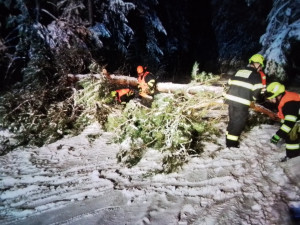 Kvůli těžkému sněhu je v Karlovarském kraji 24 000 domácností bez proudu