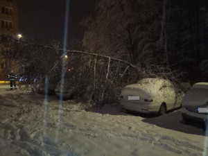 Kvůli těžkému sněhu je v Karlovarském kraji 24 000 domácností bez proudu