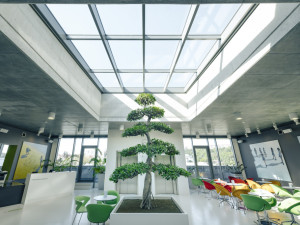 Jste si jistí, že vám nehrozí rakovina prostaty? Informujte se o všech možnostech včas