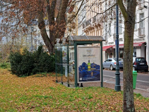 Karlovy Vary chystají revitalizaci Sadů Karla IV. Předcházet jí bude pokácení čtyř stromů, pak se vysadí nové