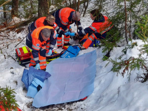 Lesního dělníka poranil padající strom. Práci záchranářů komplikoval těžko přístupný terén