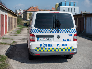 Karlovarský kraj podpoří vznik městské policie v Lokti