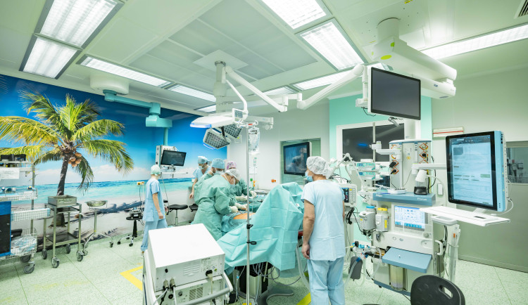 Operační sály nemocnice v Jindřichově Hradci oživily tapety s přírodními motivy