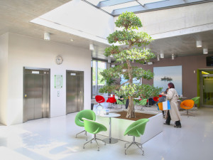 Rakovinu prostaty umí v Praze léčit na světové úrovni