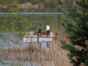Uprostřed oblíbeného koupaliště je nový plovoucí ostrůvek