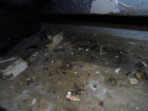 Plíseň v lednici, špinavá digestoř a trus hlodavců, inspektoři odhalili v rodinném hostinci velké nedostatky