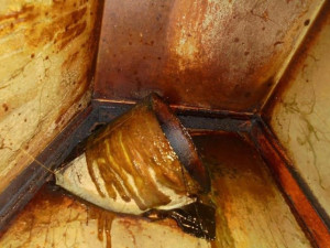 Plíseň v lednici, špinavá digestoř a trus hlodavců, inspektoři odhalili v rodinném hostinci velké nedostatky