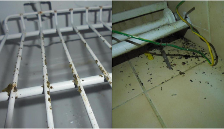 Plíseň v lednici, špinavá digestoř a trus hlodavců, inspektoři odhalili v rodinném hostinci velké nedostatky