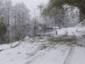 Bečovská botanická zahrada smutní. Areál zasáhla sněhová kalamita