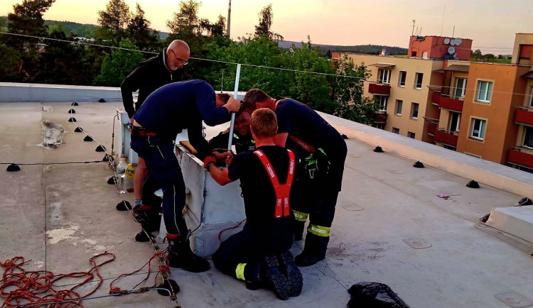 Kočka uvízla ve ventilační šachtě, záchranná akce trvala více než 12 hodin