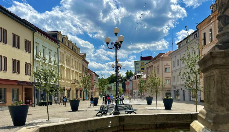 Sokolovské Staré náměstí stíní nově vysázená javorová alej