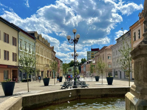 Sokolovské Staré náměstí stíní nově vysázená javorová alej