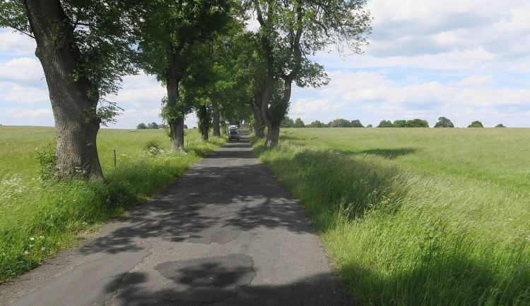 Skupinka na Chebsku hledala kamaráda, ten nepřežil náraz na motorce do stromu 