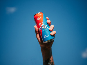 Dva pivovary, jedno pivo. Budějovický Budvar představil letní limitku Na Pool uvařenou s minipivovarem Dva kohouti