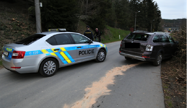 VIDEO: Po zběsilé honičce se řidič před policisty schoval v řece, s pátráním pomohl policejní pes i myslivec